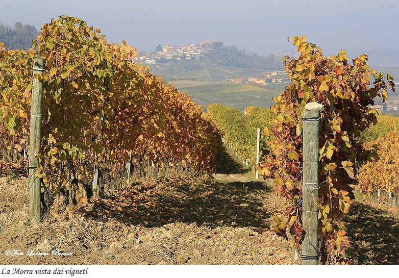 La Morra vista dai vigneti