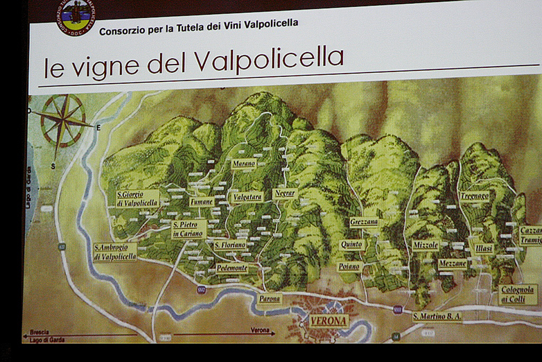 Le vigne della Valpolicella