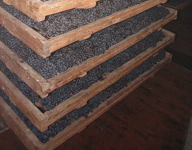 Uva in appassimento