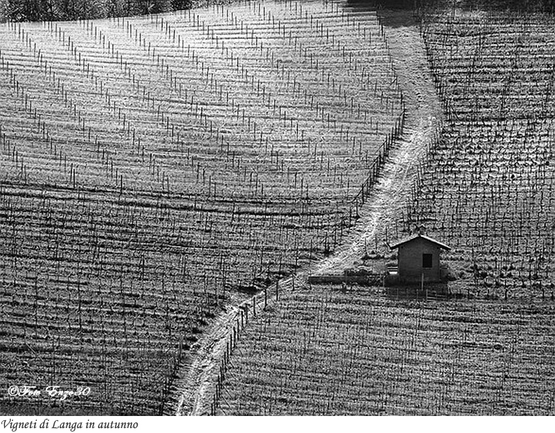 Vigneti di Langa in autunno