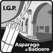 Asparago di Badoere IGP