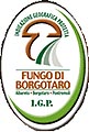 Fungo di Borgotaro