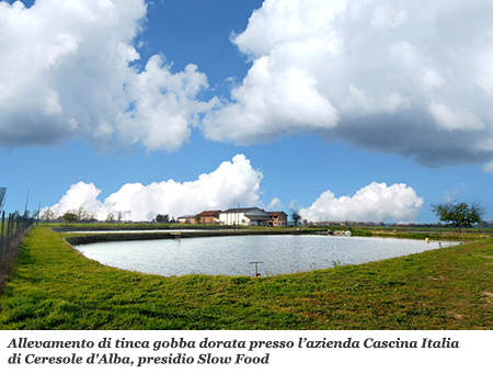L'allevamento presso Cascina Italia a Ceresole d'Alba (CN)