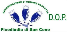 Logo Ficodindia di San Cono DOP