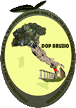 Olio Extravergine di Oliva Bruzio