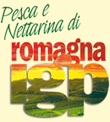 Pesca e Nettarina di Romagna