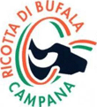 Ricotta di Bufala Campana DOP