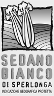 Sedano bianco di Sperlonga Igp