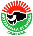 Mozzarella di Bufala Campana