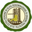 Olio Extravergine di Oliva Lucca