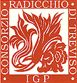 Radicchio rosso di Treviso