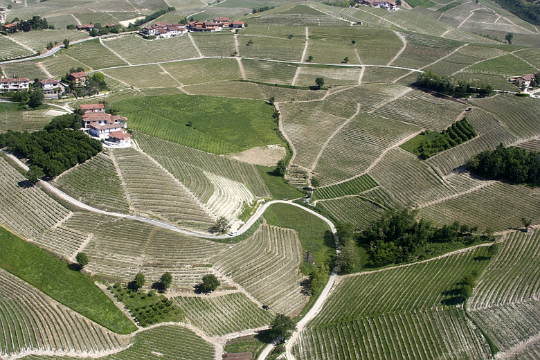 I cru di Barbaresco