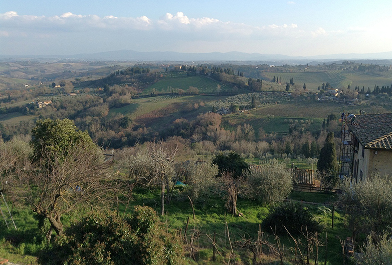 Vigneti e uliveti a San Gimignano