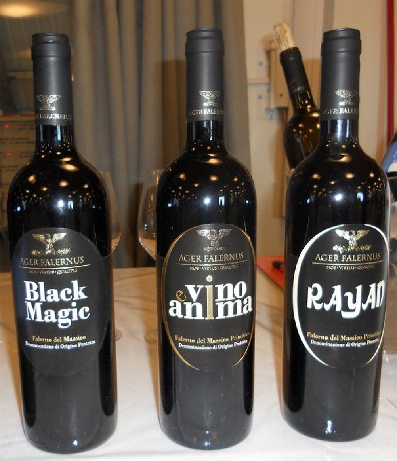 I vini di Ager Falernus