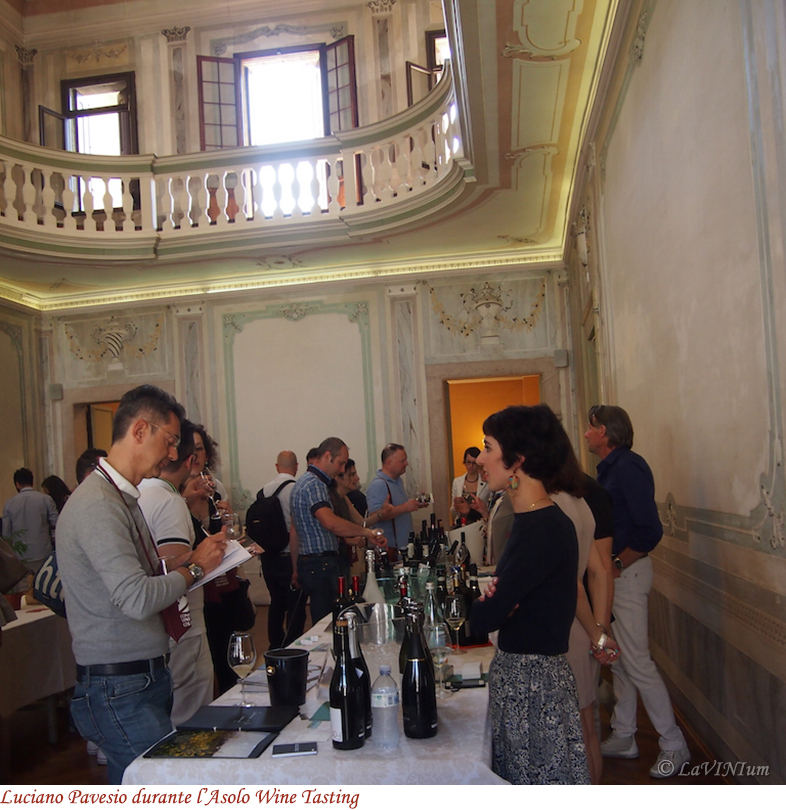 Asolo Wine Tasting