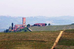 La collina del Rabajà a Barbaresco