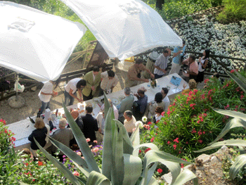 I banchi di degustazione