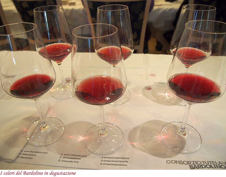 I colori del Bardolino in degustazione