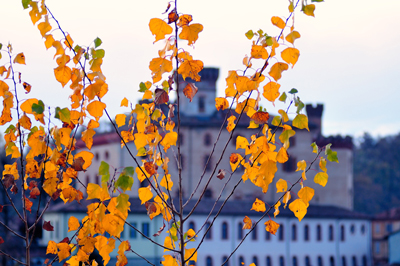Il castello di Barolo