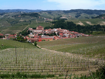 Veduta del Comune di Barolo