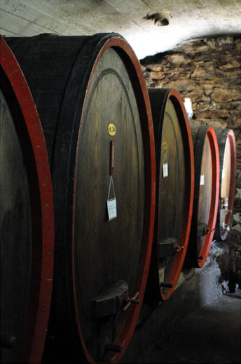 Botti di castagno da Leusciatti