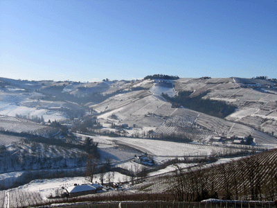 Veduta panoramica dalla Cantina Rizzi di vigneti a Barbaresco durante l'inverno