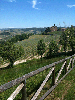 Castello di Barolo visto dai vigneti