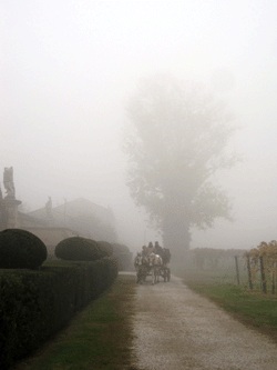 I cavalli nel brolo grande