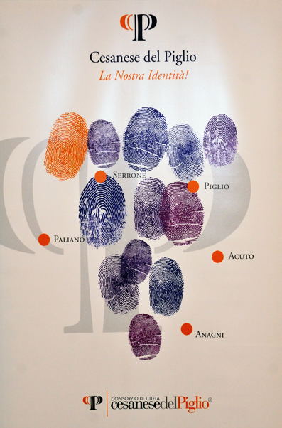 Manifesto Rosso Cesanese