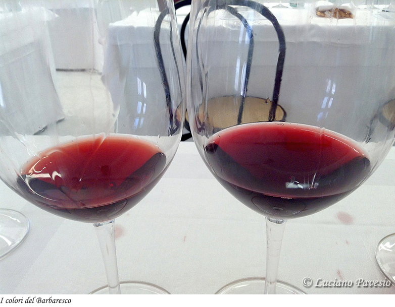 I colori del Barbaresco