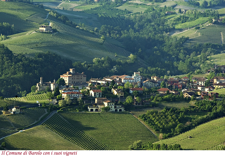 Il comune di Barolo con i suoi vigneti