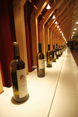 Le bottiglie in degustazione