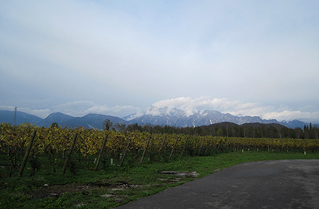 Le Grave da Fernanda Cappello