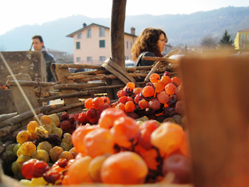I picai di garganega