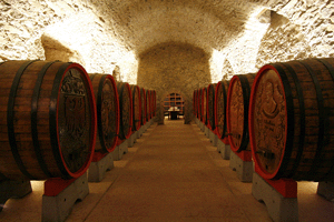 Le cantine storiche dell'Istituto Agrario S.Michele