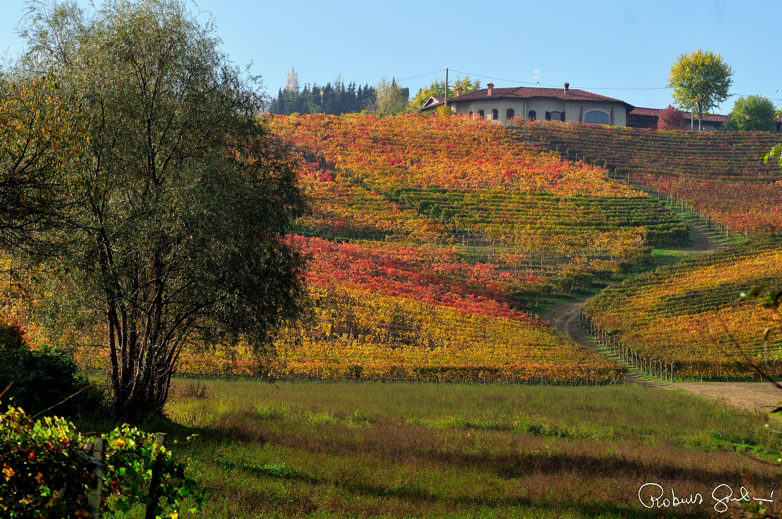 Le diverse tonalit&agrave; di colore
