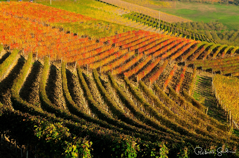 La terra sulla strada in direzione di Spoleto