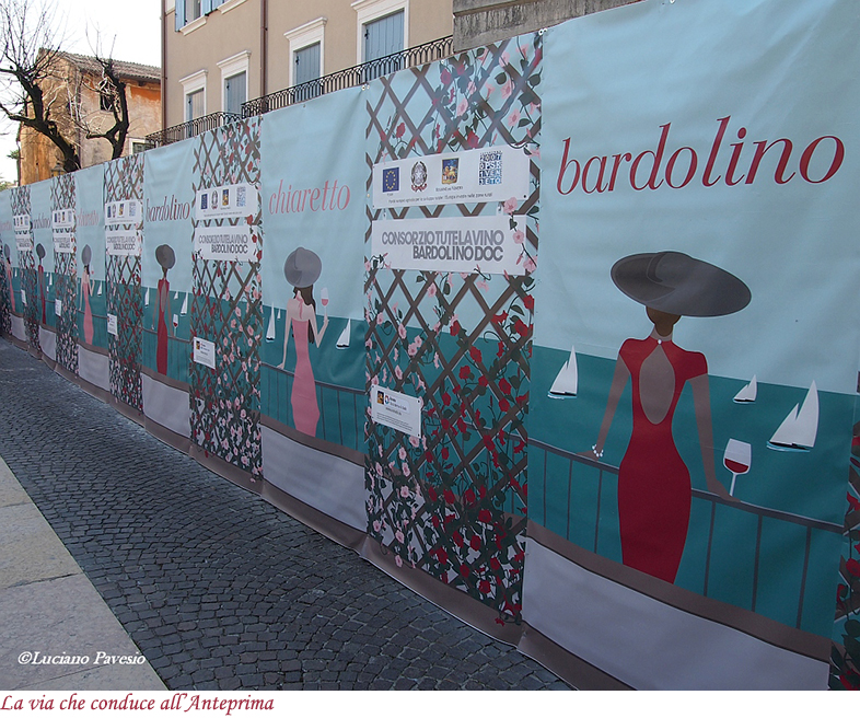 La via che conduce all'Anteprima del Bardolino e del Chiaretto