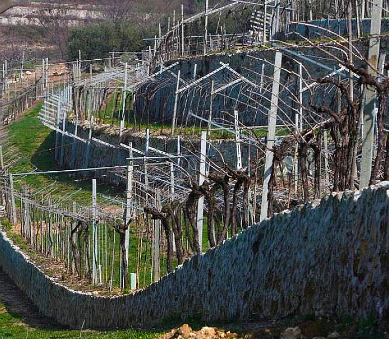 Altro esempio di marogne