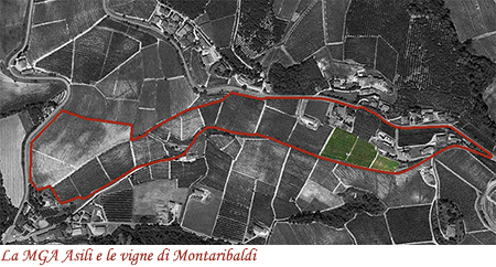 La Menzione Geografica Aggiuntiva Asili e le vigne di Montaribaldi