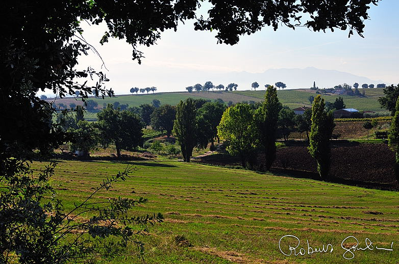 Paesaggio nei pressi di Montefalco
