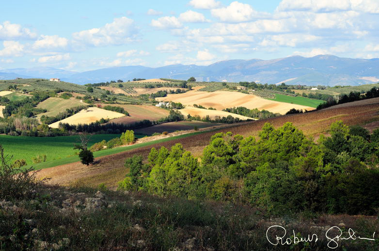 Sulla strada di ritorno da Montefalco