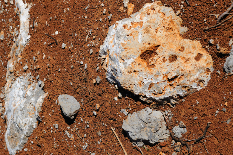 Il suolo a Montenidoli