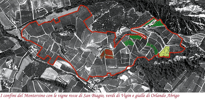 I confini del Montersino con le vigne rosse di San Biagio, verdi di Vigin e gialle di Orlando Abrigo