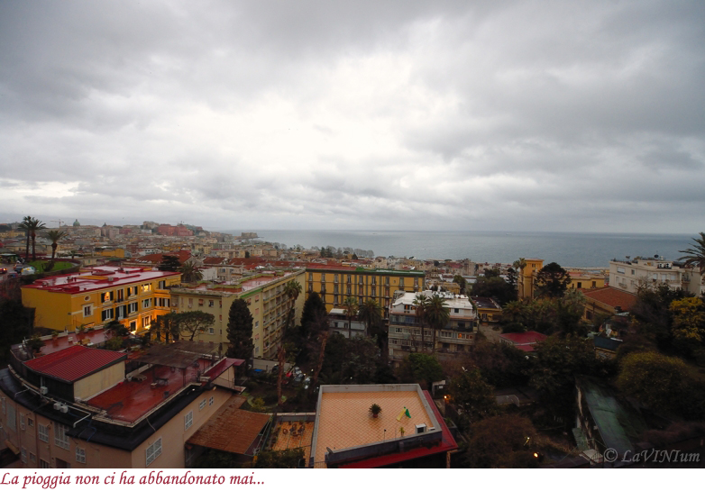 Napoli vista dal Grand Hotel Parker's