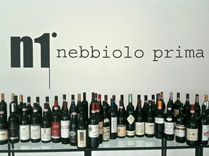 Le bottiglie esposte