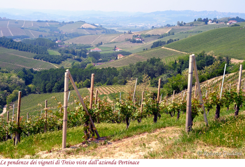 Le pendenze dei vigneti di Treiso viste dall'azienda Pertinace
