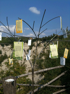 Messaggi augurali in varie lingue al bordo delle Rocche dei Sette Fratelli