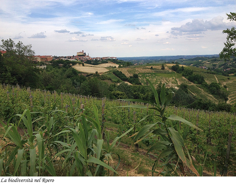 Biodiversit&agrave; in Roero