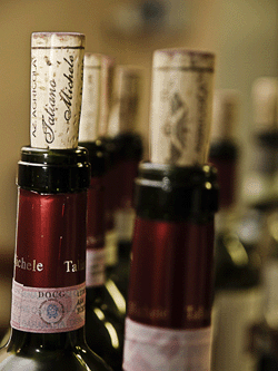 Bottiglie di Roero in Degustazione